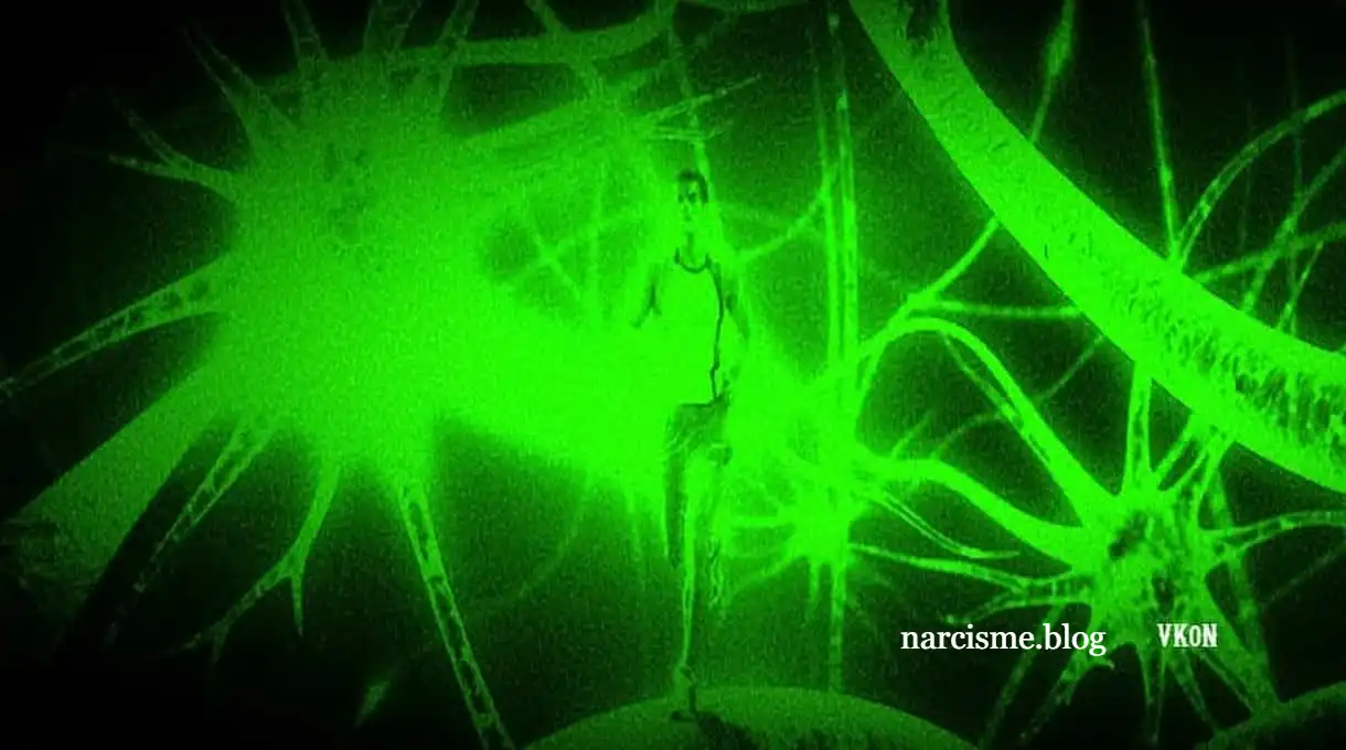 Waarom een narcist doet wat hij doet: inzicht en begrip